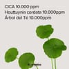 [Mary&May] Mascarilla Calmante de Árbol de Té Cica Houttuynia 30sheets - Image 4